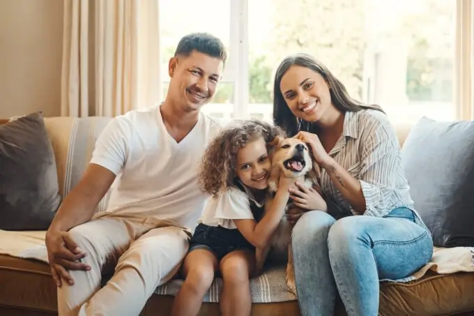 Protecting Family Relationships Through Professional Mediation Christchurch